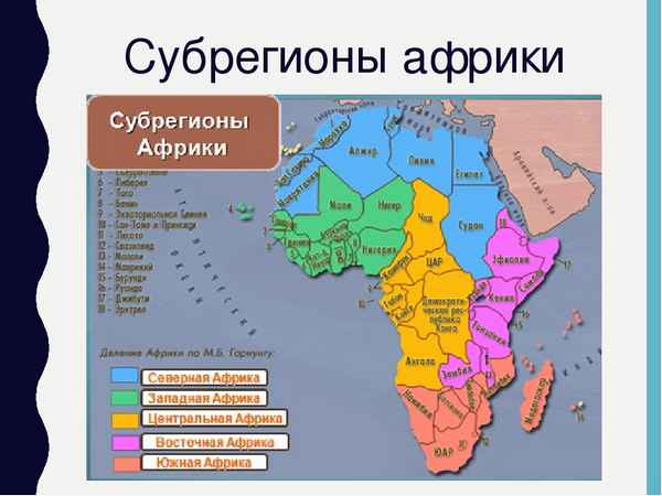 Субрегионы Африки в таблице (география, 11 класс)