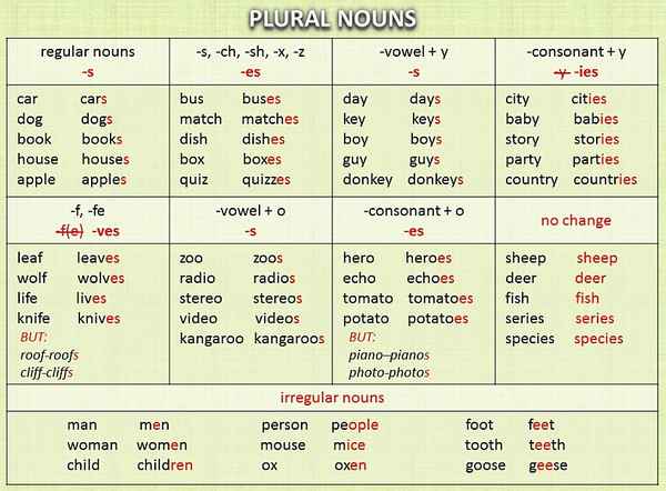 Множественное число существительных в английском языке – исключения в таблице
