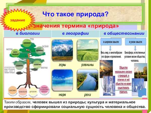 Природа и человек на Земле (география, 8 класс)