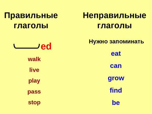 Правильные и неправильные глаголы в английском языке – как отличить формы