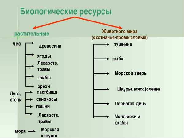 Биологические ресурсы России в таблицах (10 класс)
