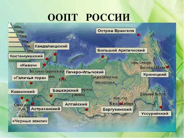 Особо охраняемые природные территории России – сохранение среды, список земель (география, 8 класс)