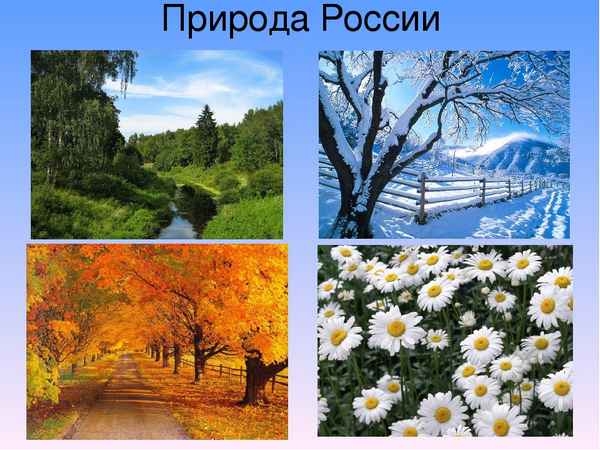 Природа России (тема окружающего мира, 4 класс)
