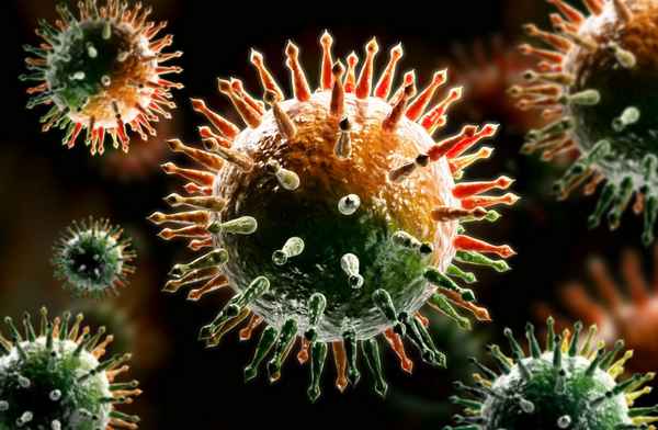 Вирусы – виды и названия, какие бывают (биология, 6 класс)