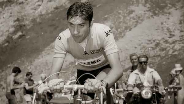 Эдди Меркс (Eddy Merckx) краткая биография велосипедиста