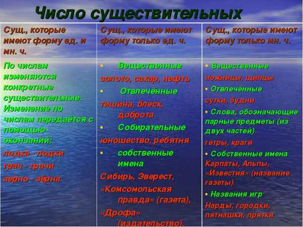 Число существительных – изменение имен существительных по числам в русском языке